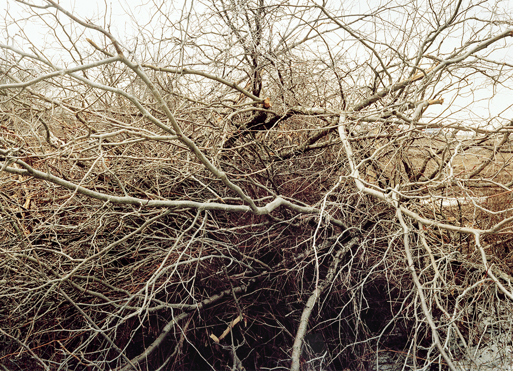 Natural Law